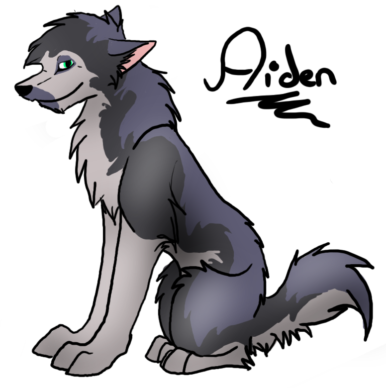 Aiden.png