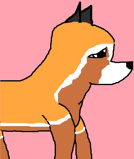 YCA99RDA2CA2GD6BRCAOXZQ7YCAFIGEMECAW4GY3YCAA07IWPCAOKO2AKCA0XPTU7CADPUU5PCAMJRH0ECA2CW696CA2JAZGDCA0U6CU1CAQURXG0CAV7DZD9CA5Y440TCAUBTWEXCA6TALR5CASEP6SR.jpg