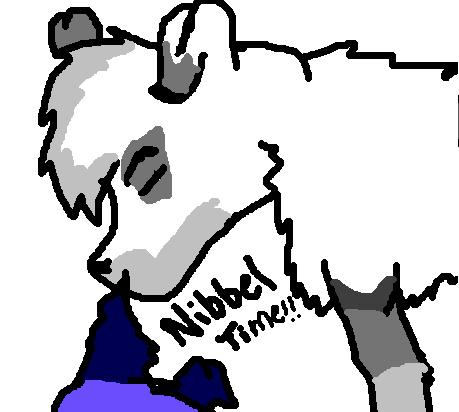 zozo.JPG