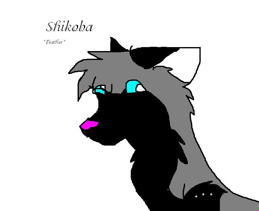 Shikoba.JPG