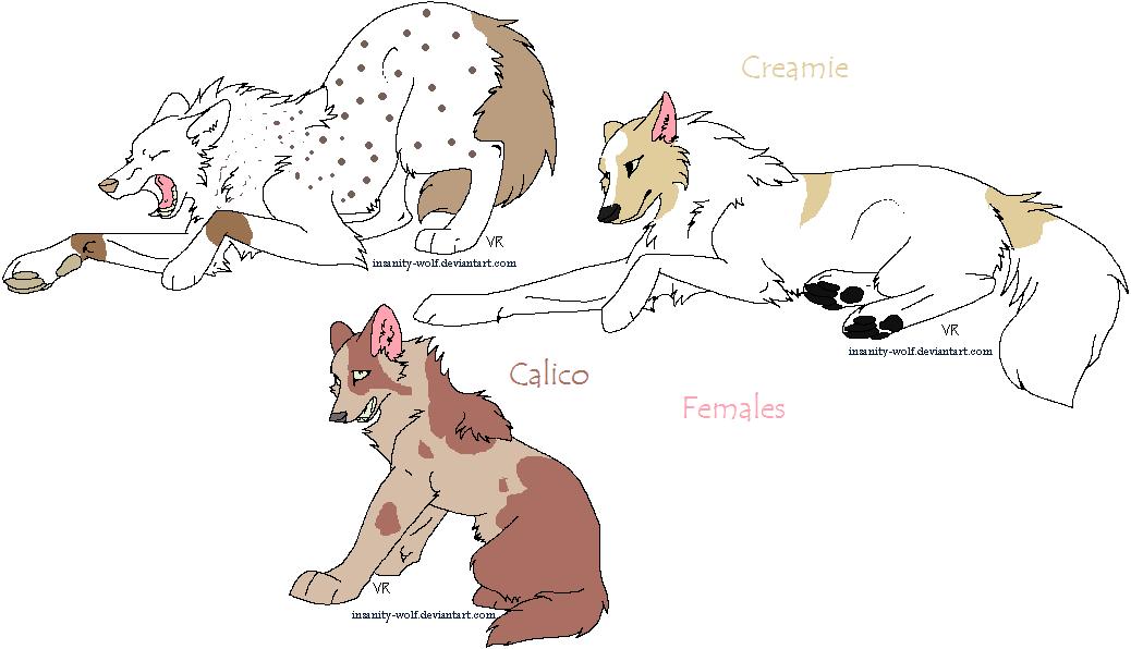 females.jpg