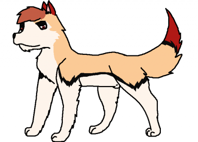 aj.PNG