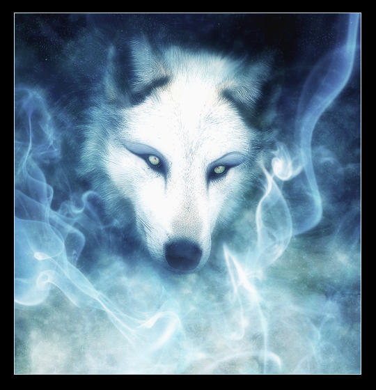 WolfEyes.jpg