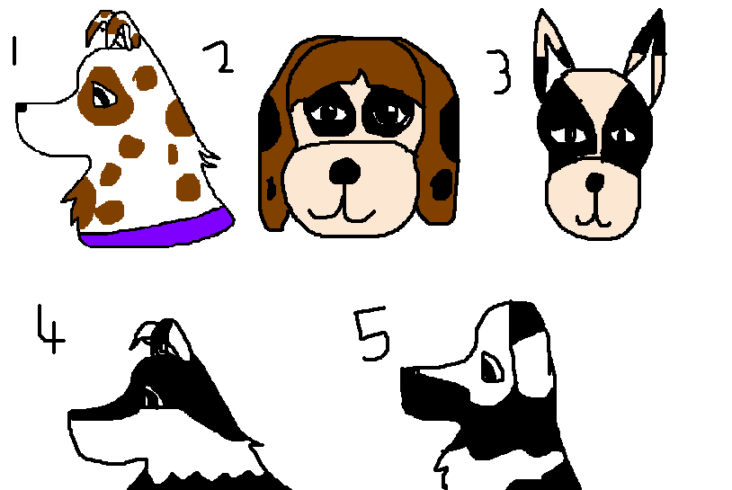 untitled.PNG