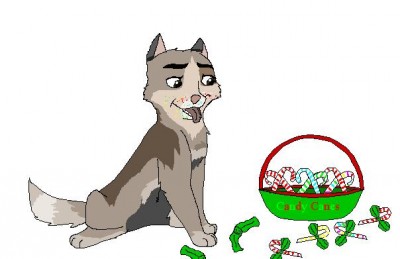 ccacc.jpg