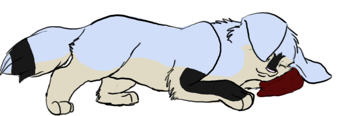 Cais.png