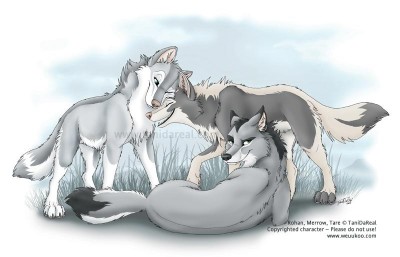 threesisters.jpg