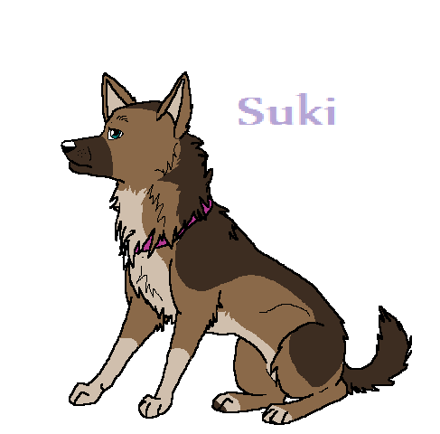 Suki.png