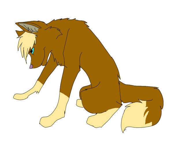 adoption shasta.jpg