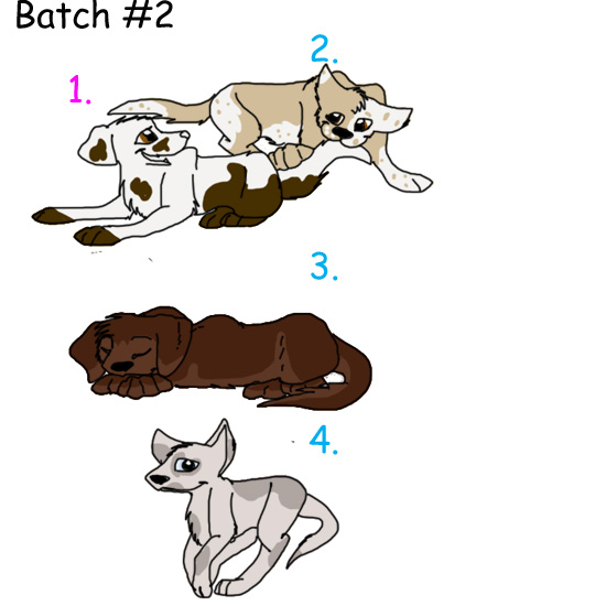 batch #2.jpg
