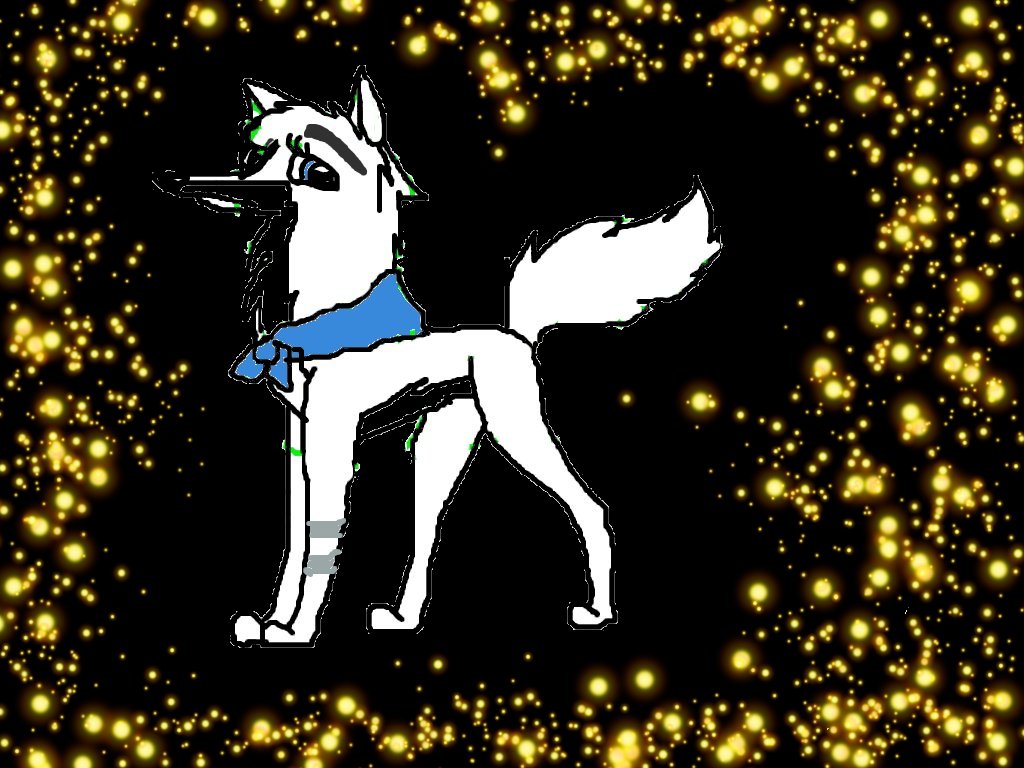 hund5.jpg