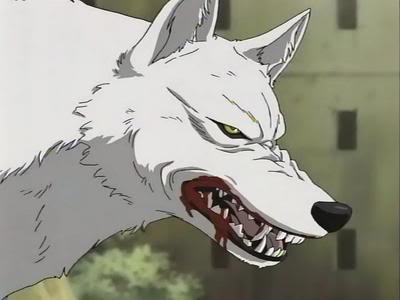 kibawolfblood.jpg