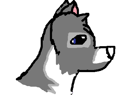 lacey.png