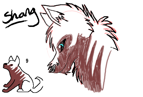 shang.PNG