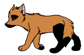 zasfa.PNG