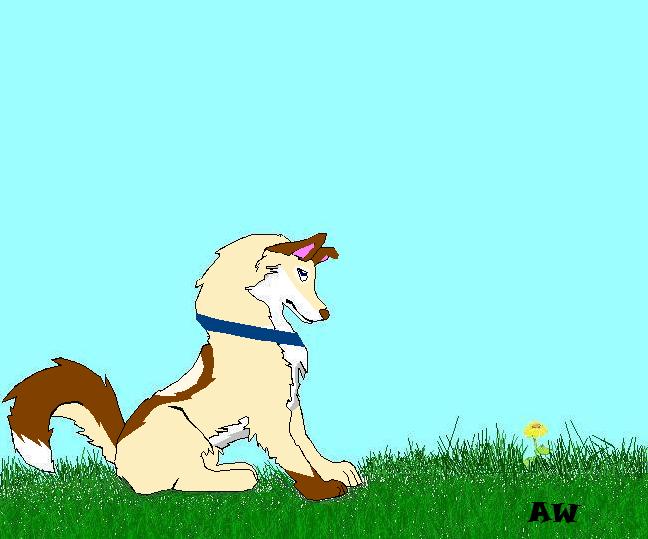 Doggy.JPG