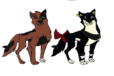 Steele and Stella's pups.jpg