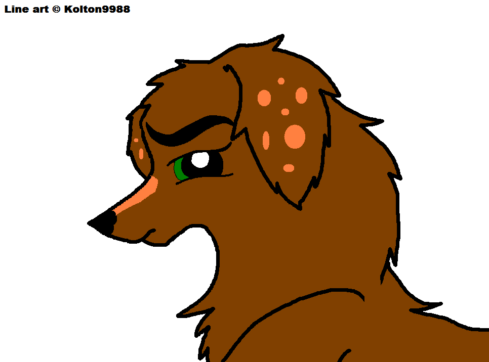 jake.PNG