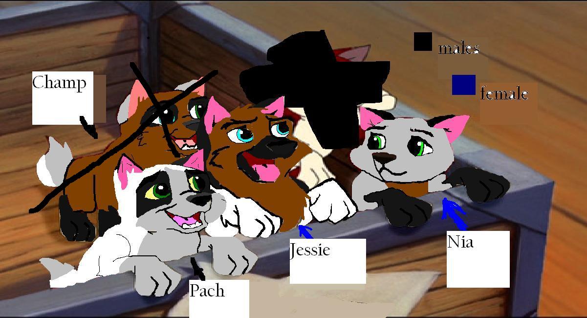 w5.JPG