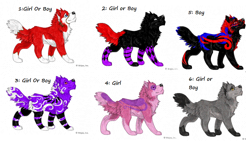 Adoptables 1.gif