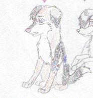 idipup2.png