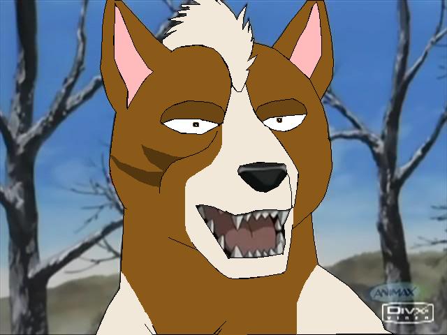 !@!!!!.jpg