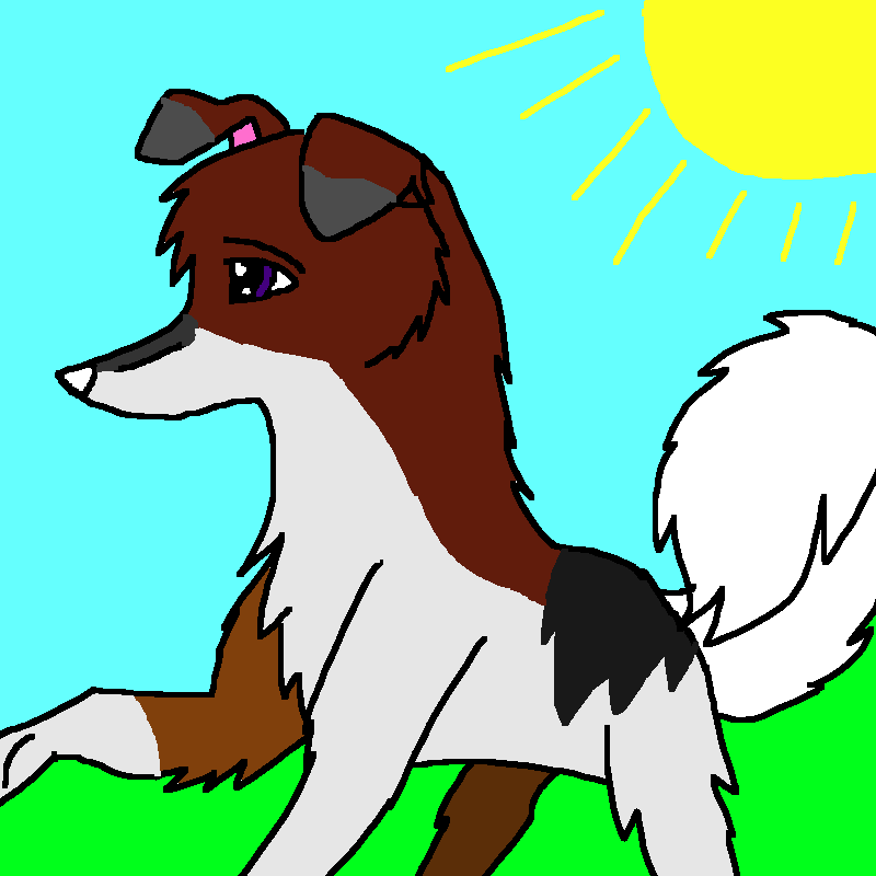 jackson.png