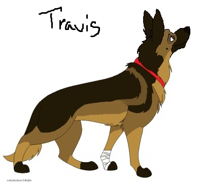 rqavis2.jpg