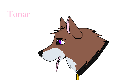Tonarpic.PNG