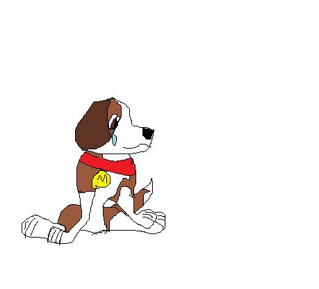 max.jpg