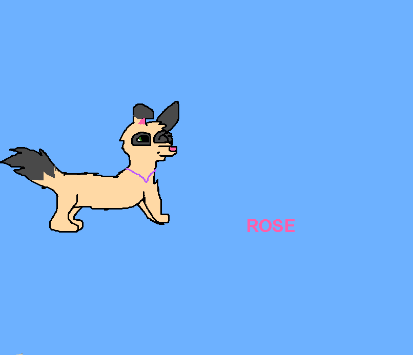 rose.png
