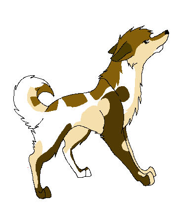 Kin.PNG
