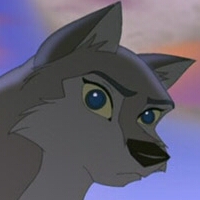 wolf.jpg