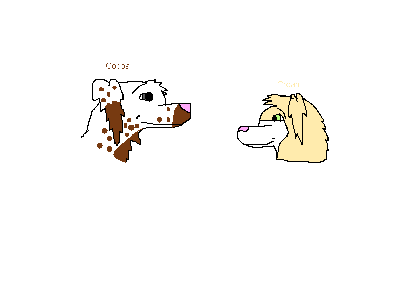crema and Cocoa.png