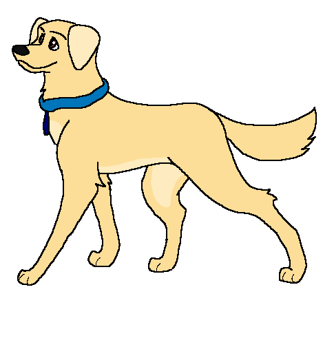 Dolly.PNG
