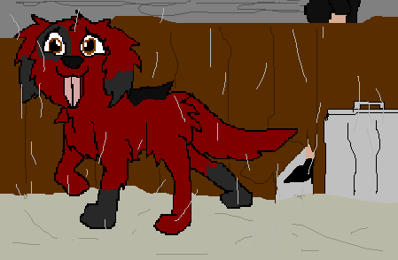 shiba.PNG