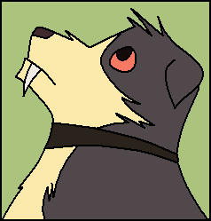 Echo.PNG