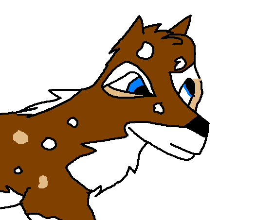 k.PNG