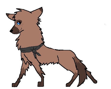caiba.PNG