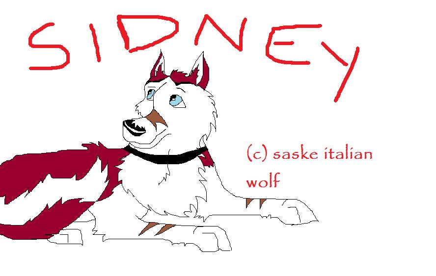 sidney.jpg