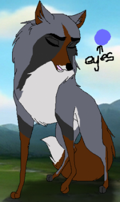 pic_detail4d76a177d666d.png