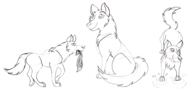 Lacey Sketches.png