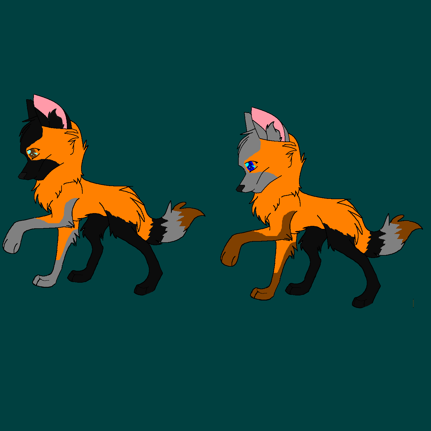 dog45.PNG