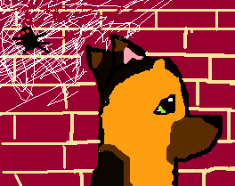 czz.png