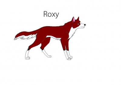 Roxy.JPG
