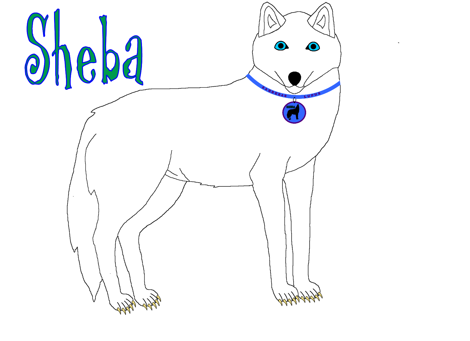 Sheba.png