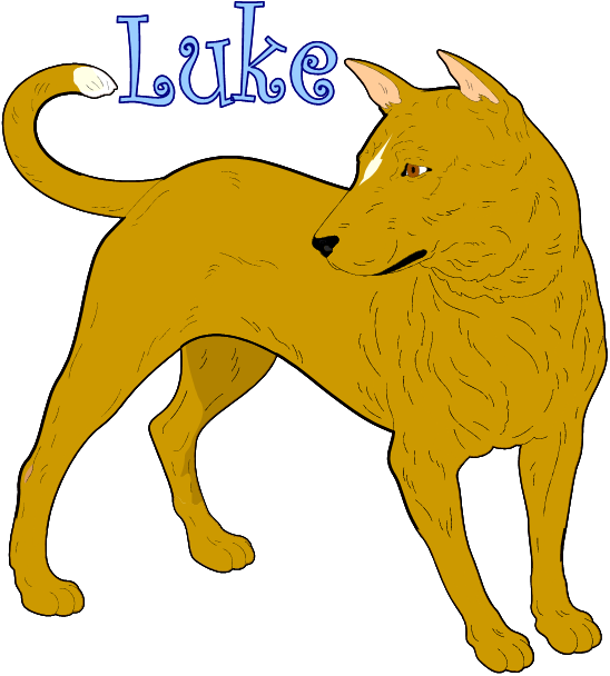 Luke the basenji small.png