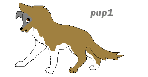 pup1.GIF