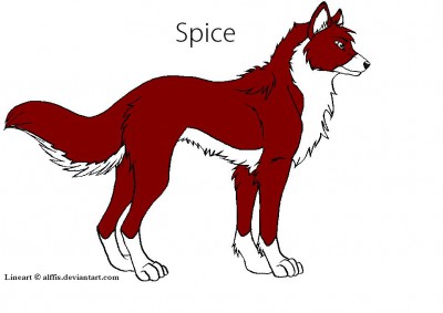 Spice.JPG