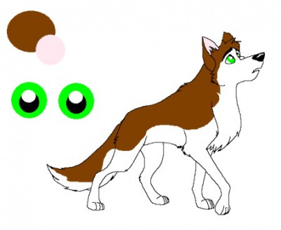 image.jpg